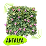 thumbnail of GeckoWall "ANTALYA" | Groentewand met premium roze tulpenani | Kunstmatige bloemenmuur voor gastronomie | Pannelli van muur tot muur