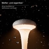 thumbnail of Nudrop Akku-Tischleuchte mini 210mm graphitgrau