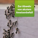 thumbnail of ARDAP Mieren Verjagen Medium3kg