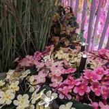 thumbnail of LED Solar Lichterkette Blumen Beetstecker Blumentopfdeko Garten Lichtsensor