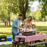 thumbnail of Barbecue à gaz Portable Réchaud Grill 1780W Butane Allumage Piezo + Mallette Camping ALPEN