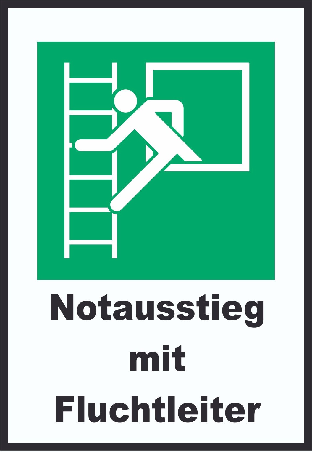 Notausstieg mit Fluchtleiter A3 (297x420mm) Schild