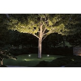 thumbnail of Paulmann Plug & Shine LED Gartenstrahler Fluter EinzelspotIP65 3000K 15,5WSchwarz 94575