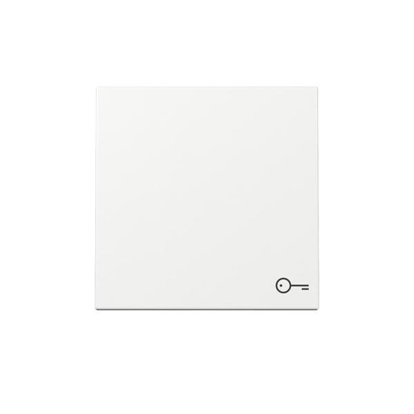 Gira Wippe Symb. Tür 328703