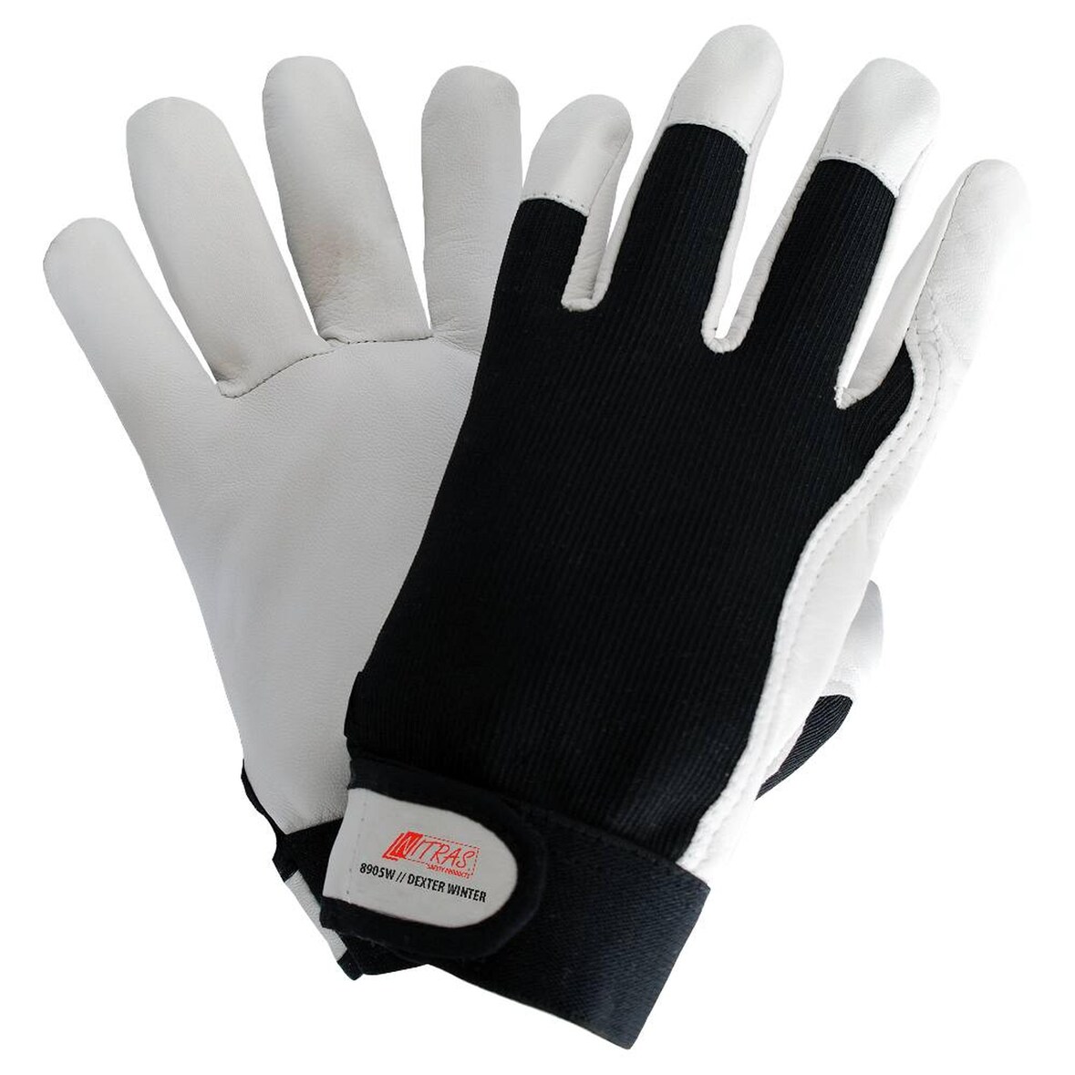 Arbeitshandschuhe | Nitras Dexter Winter Winterhandschuhe | 60 Paar | Gr. 7 - 12