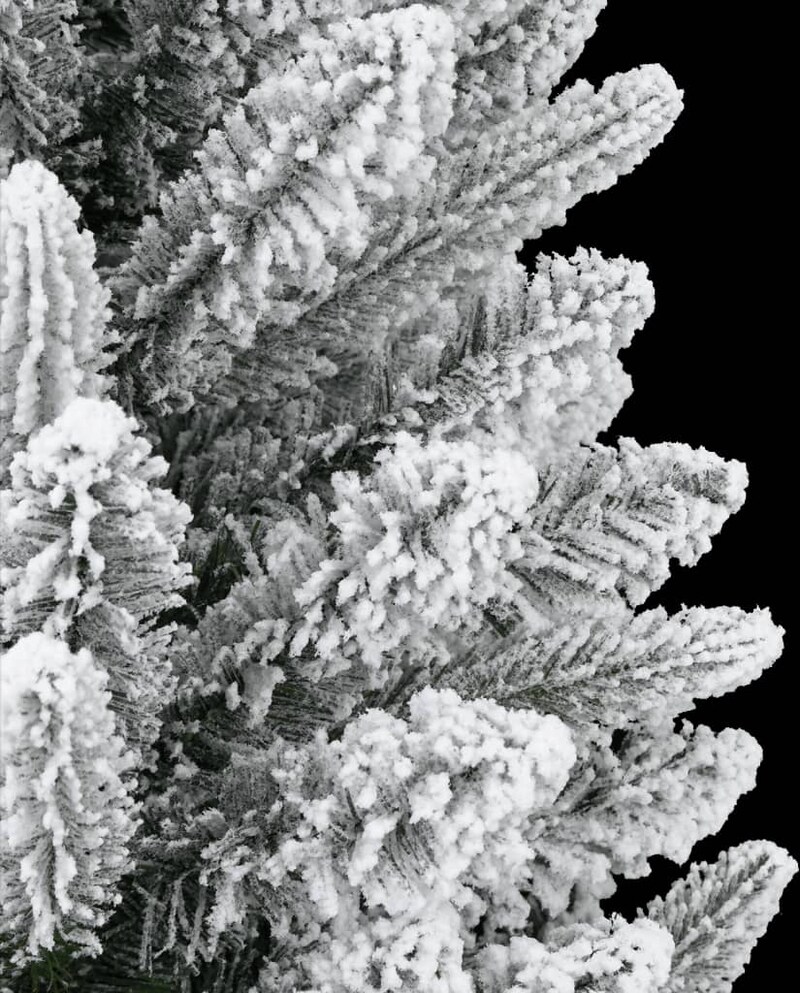 mobile_image