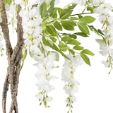 thumbnail of CREATIV green künstliche Pflanze Wisteria, 170cm