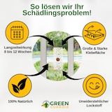 thumbnail of Fliegen Fenster-Falle mit Spezial-Lockstoff: 9