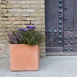thumbnail of WellHome - Vaso Impruneta Dan-i 57L modello Cube