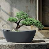 thumbnail of WellHome - Blumentopf aus Rotationsgeformtes Polyethylen 16L 60x28x20cm in farbe Sandweiß - Aria Oval