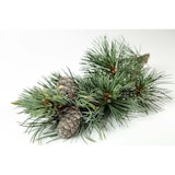 thumbnail of Rustikale Glas-Karaffe mit oder ohne Zirben-Kugel V-40.G-104