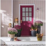 thumbnail of Vaso com pés de madeira – Ø 27 x 42 cm – Drypot em suporte de madeira – Floreira sustentável – Vaso decorativo – Interior – Castanho