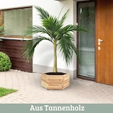 thumbnail of Pflanzkasten Holz 6-eckig MICHA - Inkl. Vlies und Handschuhe | Pflanzkübel Tannenholz Blumenkasten Blumenkübel Blumentopf Terrasse, 54,5cm Breit