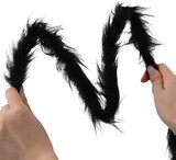 Ein schwarzes, pelziges Spinnenbein wird gehalten.