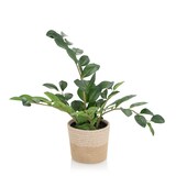 thumbnail of Planta artificial ZAMIE verde hjh OFFICE