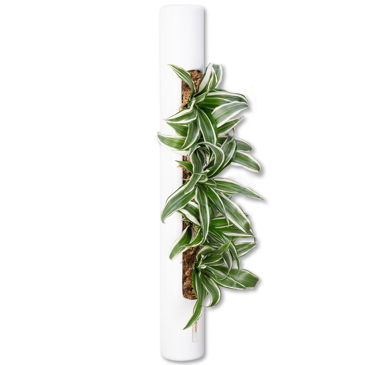 bigTube - weiß - 65x7,5 cm