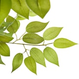 thumbnail of tectake Ficus artificiel FIDA à l'aspect naturel - 120 cm - 405609