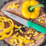 thumbnail of Arcos Cuchillo Cocinero, Hoja de Acero Inoxidable NITRUM de 200 mm, Mango inyectado en Polipropileno, Color verde