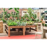 thumbnail of HORTALIA Mesa expositora de madeira Blossom