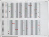 thumbnail of FRANKEN Personal- und Projektplaner, 35 Positionen mit je 2 Feldern, 1200x900mm