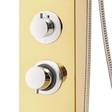 thumbnail of vidaXL Douchepaneelsysteem roestvrij staal 201 goudkleurig