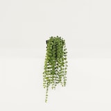 thumbnail of LIGNE DÉCO Plante succulente retombante artificielle 40cm