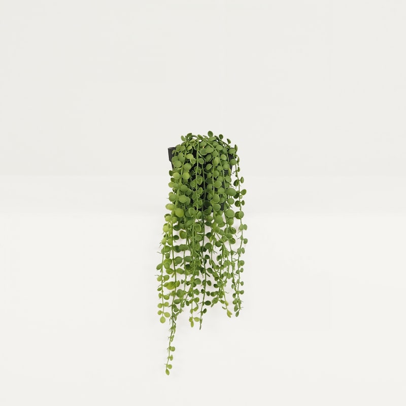 mobile_image