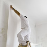 thumbnail of Pitture Velo Fino per facciate e pareti (1m x 25m). Rinforzo della pittura di facciata e dell'impermeabilizzazione