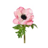 thumbnail of Künstliche Anemone mit Stiel 13x50cm Kunstblume mit einer Blüte Blumendeko Blumenarrangement Tischdeko Frühlingsdeko Blumenschmuck Rosa