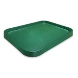 thumbnail of DENOX Grote Fast Food tray 53 x 37 cm. Kleur Groen (Partij van 6 stuks).