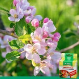 thumbnail of Apfelwickler Pheromon-Lockstoff Nachfüllpack: Effektiver Schutz für Obstbäume: 3 Dispenser