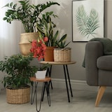 thumbnail of Relaxdays Blumenhocker, Akazienholz, rund, für Blumentöpfe, Pflanzkübel, Retro Blumenständer HD: 42x25 cm, braun/schwarz