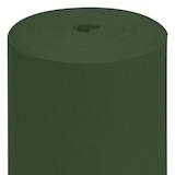 thumbnail of Garcia de Pou - Nappe En Rouleau 55 G/M2 1,20X50 M Vert Jaguar Airlaid