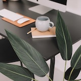 thumbnail of Planta artificial en maceta Strelitzia 90 cm - Oviala