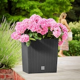 thumbnail of DEUBA® Blumentopf Rato Anthrazit 64 Liter
