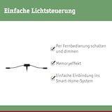 thumbnail of Paulmann Plug & Shine Controller Smart Home Zigbee 3.0 24V max. 75W Schwarz 93999