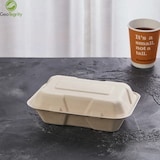 thumbnail of RyanPack Bagasse rechteckige Menübox  – Zuckerrohr – 190×151×72 mm – 50 Stück