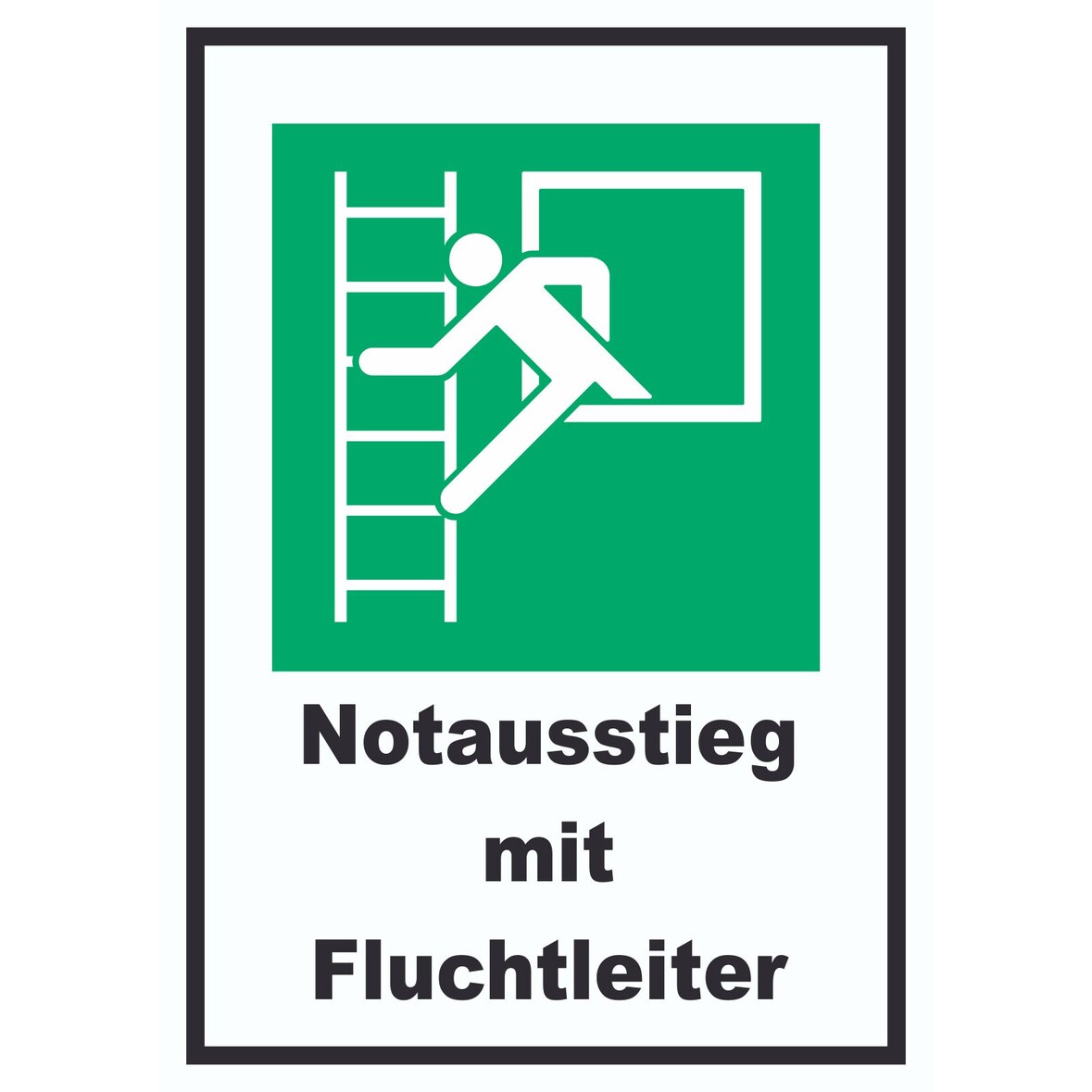 Notausstieg mit Fluchtleiter A1 (594x841mm) Schild