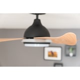 thumbnail of Energiespar Deckenventilator Bayu 122 cm mit LED 122