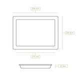 thumbnail of greenbox - Bandeja Palmware® 32,5 x 26,5 cm, ½ gastro estándar, 25 piezas.