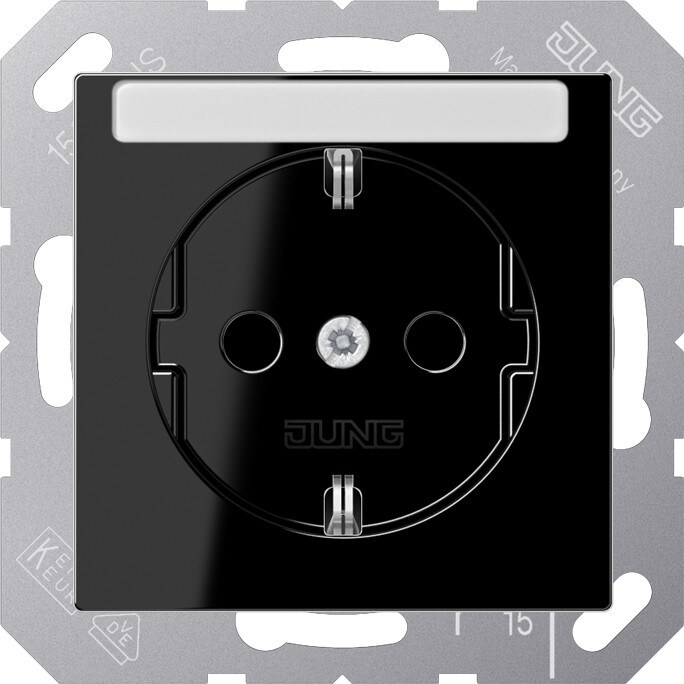 Jung SCHUKO Steckdose A 1520 BFNA SW A1520BFNASW