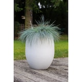 thumbnail of Pot EGG GRAPHIT blanc ceruse 53L POETIC