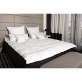 thumbnail of HS54 Daunendecke Bettdecke Oberbett 15 % Daunen - 85 % Federn 200x220 cm 1950g