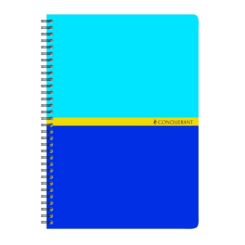 Lot de 10 Carnet Sept reliure intégrale A5, 180p./90 feuilles 70g/m², quadrillé 5x5, coloris assortis (4)