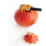 thumbnail of triangle Fruchtlöffel Spirit