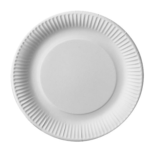 Pappteller 23 cm (100 Stück)