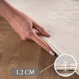 thumbnail of Carpetsale24 Boho Teppich Läufer 80 x 250 cm Creme, Weicher Skandinavischer Flurteppich Waschbar für Küche, Eingangsbereich oder Bettseite