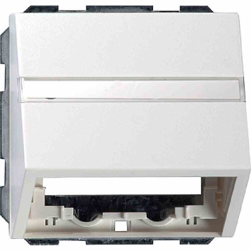 System 55 Zentralplatte, für Datenanschlussgehäuse, 1f, reinweiß, Befestigung mit Schraube, mit Beschriftungsfeld, 087003