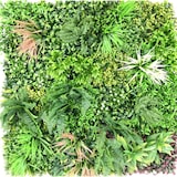 thumbnail of VERT ESPACE plante artificielle mur plaque H 100*100 cm