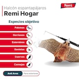thumbnail of Remi Hogar Espantapájaros Halcón Profesional sin Mástil  con protección UV | Ahuyenta Palomas, tórtolas, estorninos, pardillos, garzas, gaviotas